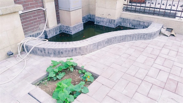 天泽小墅欢迎您的光临(图6)