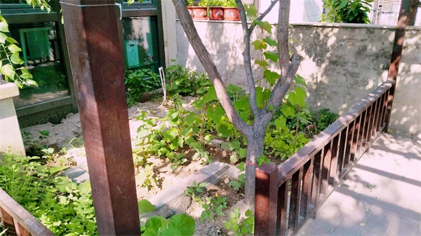 天泽小墅欢迎您的光临(图11)