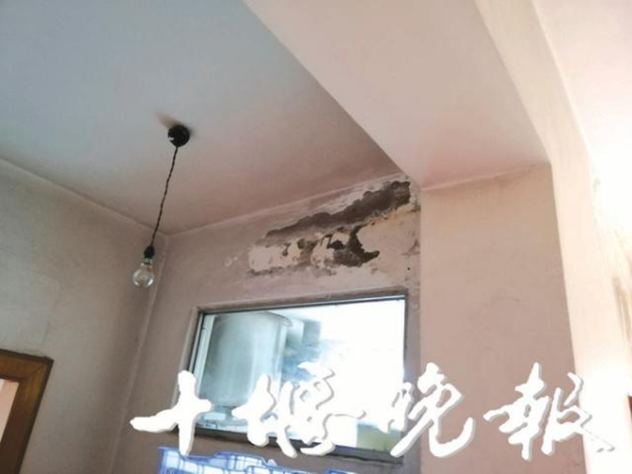 快3年了，楼上卫生间漏水致楼下墙面发霉，十堰的贺女士忍不了了